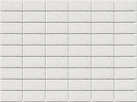  Брусчатка Прямоугольник 100х200х60 мм - Braer белый: внешний вид